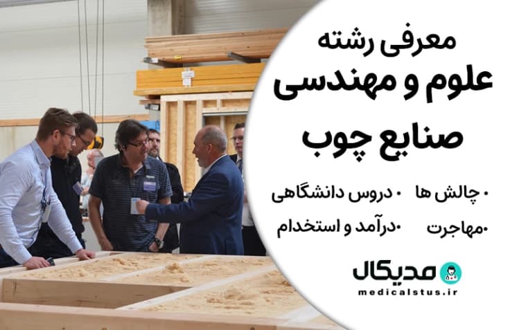 رشته علوم و مهندسی صنایع چوب و فرآورده های سلولزی (رتبه قبولی، گرایش و دروس، بازار کار ایران و مهاجرت)
