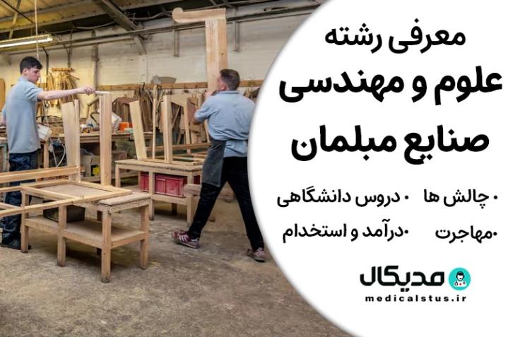 رشته علوم و مهندسی صنایع مبلمان (رتبه قبولی، گرایش و دروس، بازار کار ایران و مهاجرت)