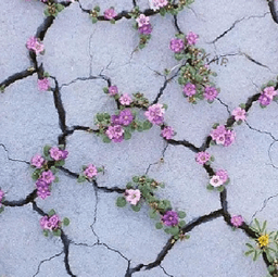 مشاور مدیکال استوز مینا ترابی