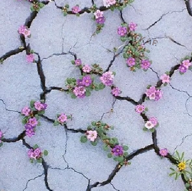 مشاور مدیکال مینا ترابی