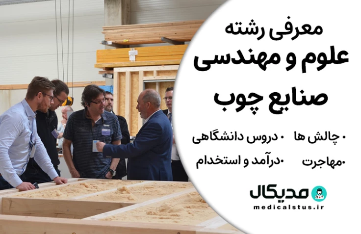 رشته علوم و مهندسی صنایع چوب و فرآورده های سلولزی (رتبه قبولی، گرایش و دروس، بازار کار ایران و مهاجرت)