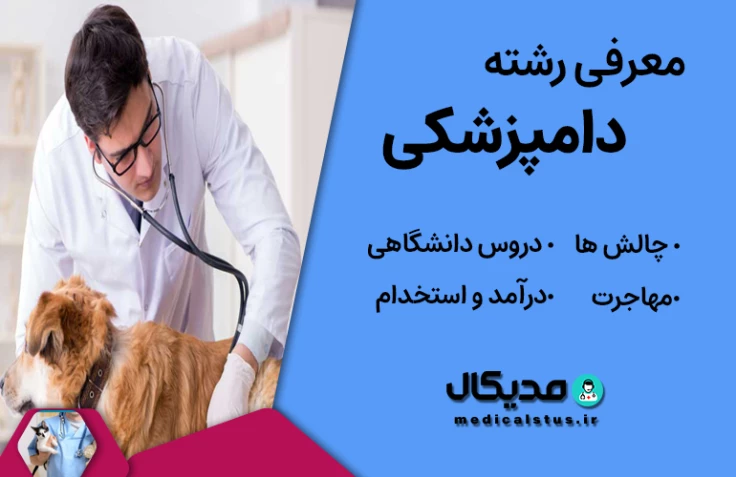 معرفی رشته دکتری دامپزشکی | تخصص ها، بازار کار و در آمد، مهاجرت
